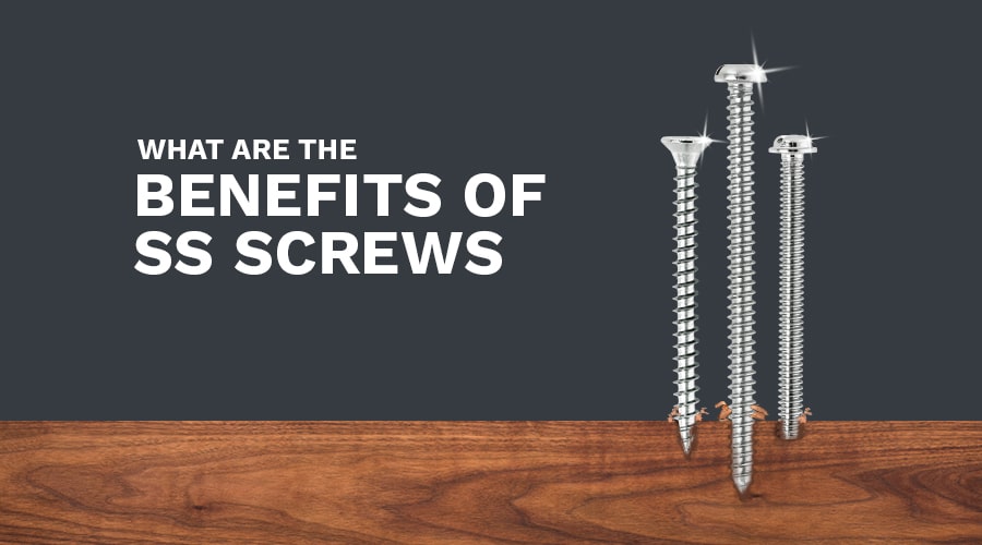 What are The Benefits of SS Screws
